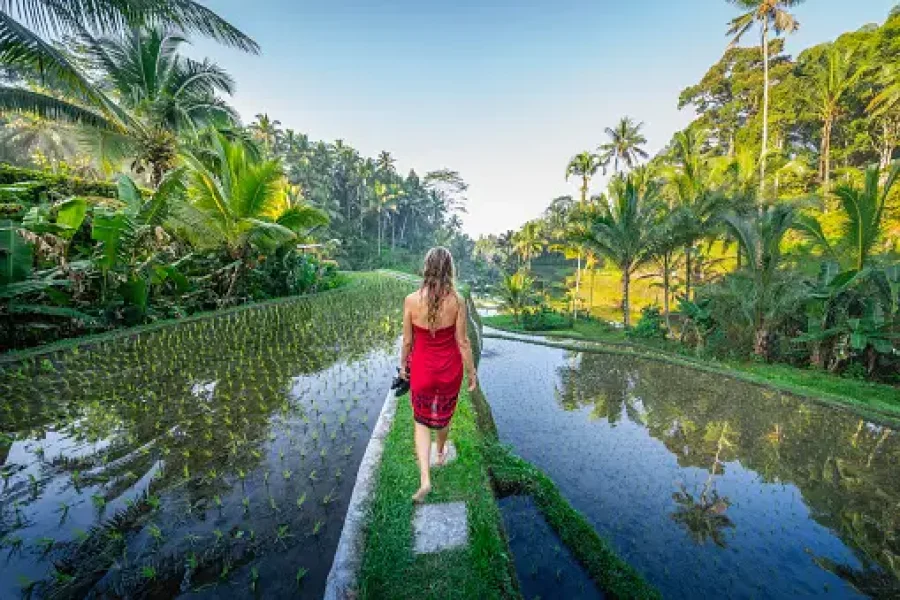 Ubud