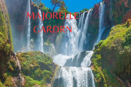 aaa